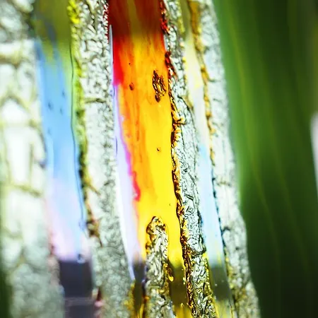 Hotel Diplomat Palace Rimini