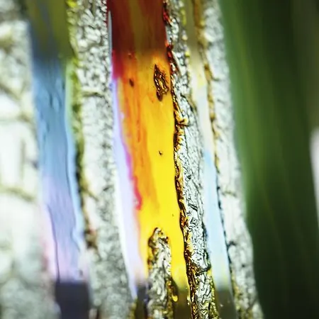 Diplomat Palace 4* Римини